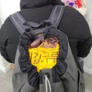 구례축협하나로마트 이미지