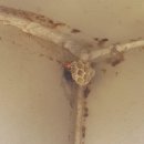 삼락오토캠핑장 이미지