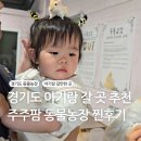 방막농장 | 경기도 어린이날 갈만한 곳, 아이와 함께 나들이 여주 주주팜 동물농장 다녀온 찐후기