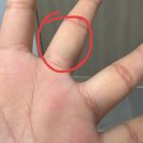 감탄정형외과의원 이미지