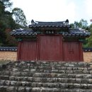 충신의사단비 이미지