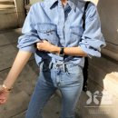 녹사다리