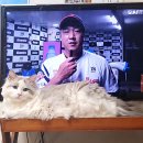 6월21일 그날의세계사 오다 노부나가 사망 (별책부록 : 자이언츠TV와 함께 하는 동하) 이미지