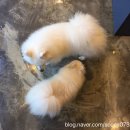 어컴퍼니 이미지