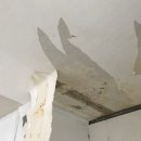 구암동271 이미지