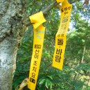 금병산 누리길 이미지