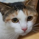 주식회사 패투헤븐 이미지