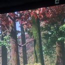 이마트24서울대공원원더파크점