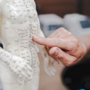 안국한의원 이미지