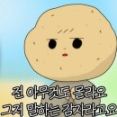 백만년만에 쓰는 블로그...(교직원 후기 / 긴 글 주의)