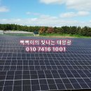 도래 태양광발전소 Daum카페