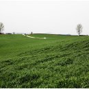 보리목장 이미지