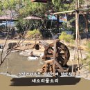 새소리 물소리 | 서울근교 힐링카페 성남 새소리물소리 메뉴 주차