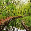 상림다볕당 이미지