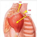광덕4로2 이미지