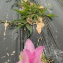 성림농장 이미지