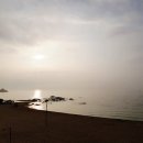 자작도 하우스 이미지