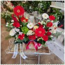 꽃들의 향연 | 성주꽃다발 꽃담에서의 특별한 경험, 꽃들의 향연