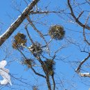 영하목장 이미지