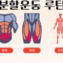 엑스퍼티짐 이미지