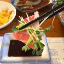 홍대 참치 맛집 참다랑어 전문 진어참치, 참치 오마카세 먹부림 후기