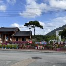 정남진테마숲 | 정남진어린이과학관 이제 예약 안해도 돼요! 장흥 가족여행 꿀정보