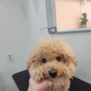 부천볼트 이미지