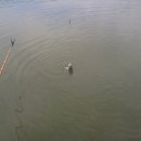 송현낚시터 이미지