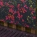 광주요양병원 이미지