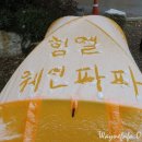 돌산캠핑장 이미지