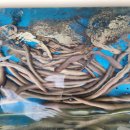 항아리장어 이미지