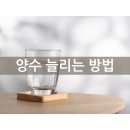 양일로2L 이미지