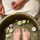 봄뜨랑 | 2026.03.29 - 04.06 Honeymoon in Bali 🌴🩵 발리 우붓 신혼여행 / 자유여행