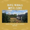 불란지스테이 | [제주숙소] 갑작스럽게 만났지만 가장 만족스러웠던 숙소, 불란지스테이