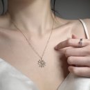 데이지플라워 이미지