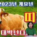 2023년 계묘년 소띠 운세 금전 재물 대박 난다 이미지