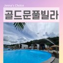 가평 풀빌라 수영장 펜션 골드문풀빌라 동남아 리조트 감성의 행복한 가족 여행 후기