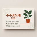 “단골 고객님과 함께한 힐링 플랜트데이 ｜알보 증정 이벤트 후기 &amp; 분갈이 이야기”