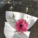 애니데이플라워