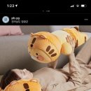 파리바게뜨전남영광