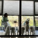 옹기종기 이미지