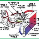 시온정비센타 이미지