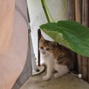 갈남스테이 이미지