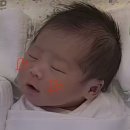 더플라워 - 동래구 충렬대로447번길 8 | 고양시 화정 더플라워 산후조리원 일산점 만족 후기 (가격, 마사지, 분유, 퇴소선물)