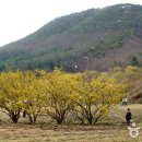 불곡리 미륵불 이미지