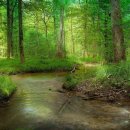 초록풍경 이미지