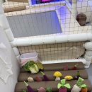 도촌남로 | 성남 분당 도촌동 키즈룸 ‘마이키즈룸’ 방문후기