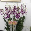 시랑회관 이미지