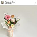 꽃소담 이미지