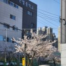 탄벌공인중개사사무소 이미지